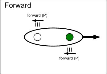 A drawing of a forward stroke.
