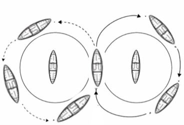 A drawing of canoe figure 8s..