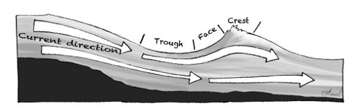 Wave trough side view.