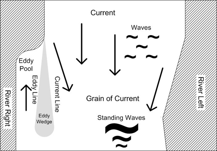 River anatomy graphic.